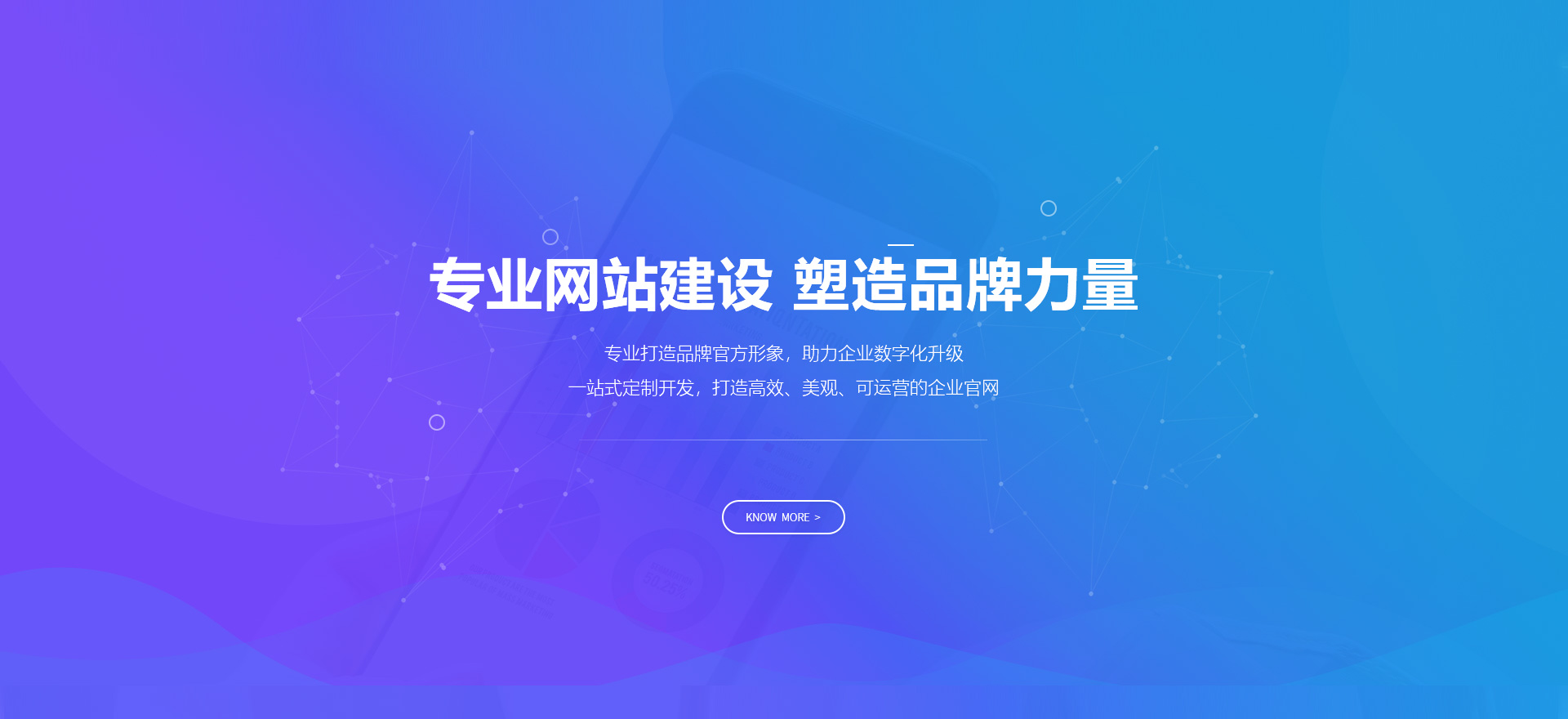 贺州建站-专业网站建设 塑造品牌力量