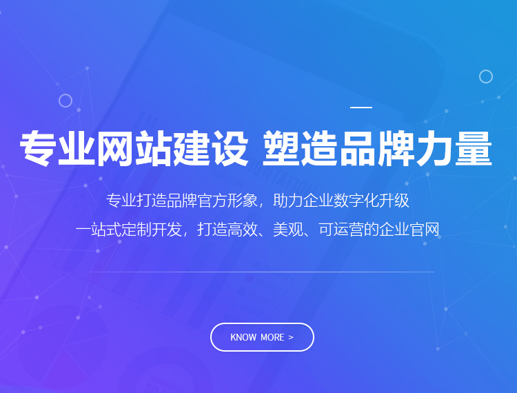 贺州建站-专业网站建设 塑造品牌力量